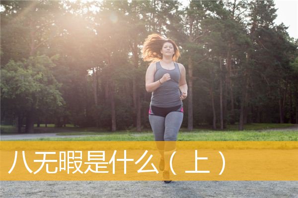 「文化」八无暇是什么（上）