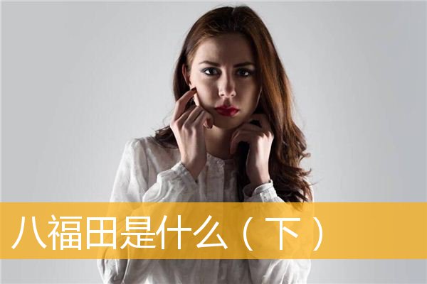 八福田是什么（下）