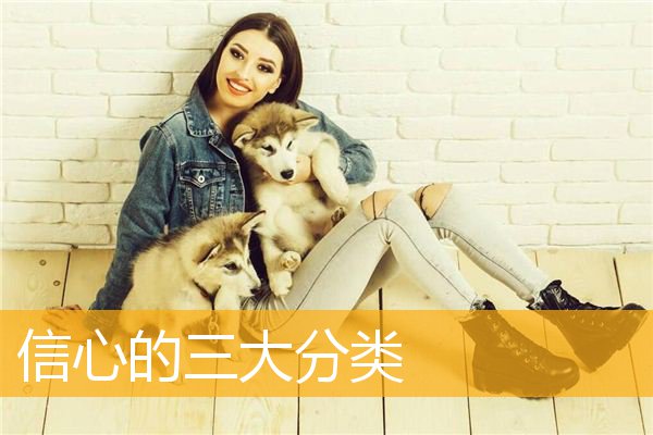 「佛教」信心的三大分类