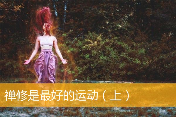 「运动」禅修是最好的运动（上）