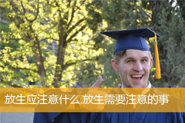 「放生功德」放生应注意什么,放生需要注意的事