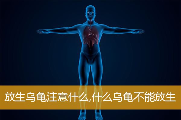 「乌龟」放生乌龟注意什么,什么乌龟不能放生