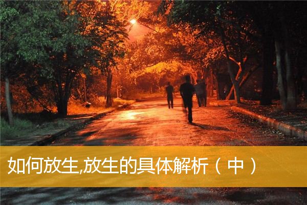 「放生功德」如何放生,放生的具体解析（中）