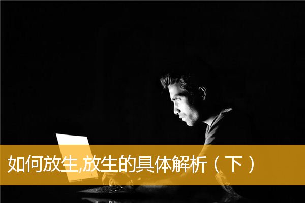 「放生功德」如何放生,放生的具体解析（下）