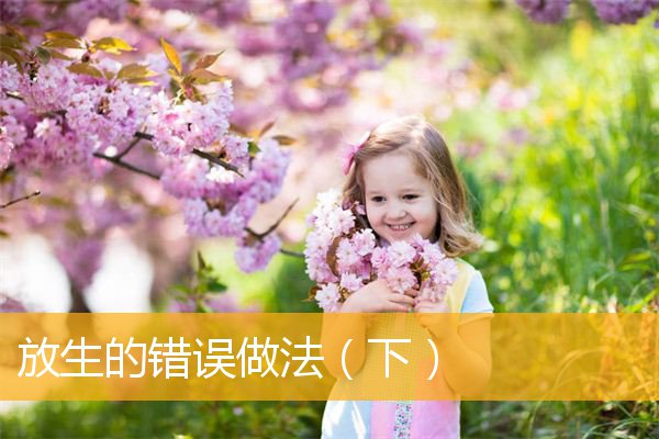 「放生功德」放生的错误做法（下）