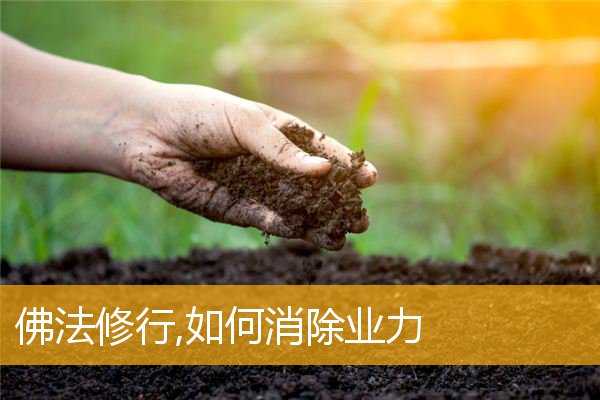 「佛法」佛法修行,如何消除业力