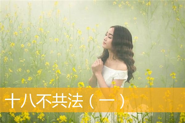 「释迦牟尼」十八不共法（一）