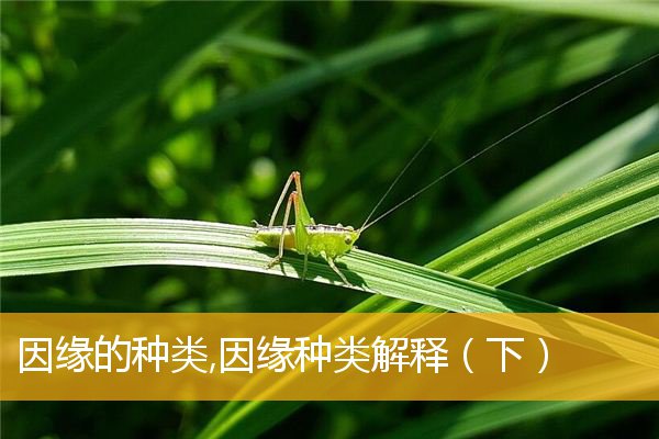 因缘的种类,因缘种类解释（下）
