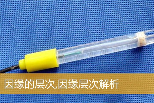 「文化」因缘的层次,因缘层次解析