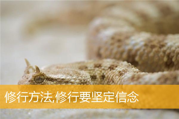 「文化」修行方法,修行要坚定信念
