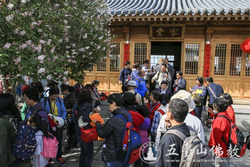 「五台山」台湾圆明禅院传放法师一行参访五台山黛螺顶 「五台山」台湾圆明禅院传放法师一行参访五台山黛螺顶