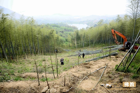 「佛教」觉真长老塔院工程在安徽紫金寺破土动工