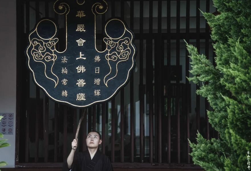 「莲花」曹山赏莲：看取莲花净，应知不染心