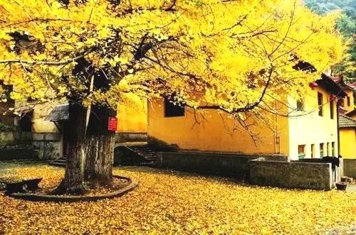 「佛教」佛教启示：是被子暖人，还是人暖被子？
