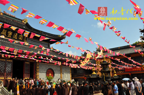 「佛教」妙明法师荣膺宁波霞屿禅寺住持晋院庆典隆重举行