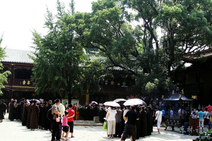 「佛教」弘法人才培训班结业,东林护生会组织放生 「佛教」弘法人才培训班结业,东林护生会组织放生