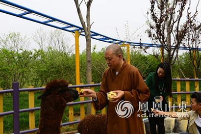 「动物」佛教界“网红”延参法师来济南做饲养员啦！