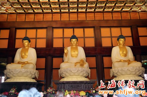 「佛教」千佛护佑 上海隆庆寺举行灵山宝殿千佛安座祈福法会 「佛教」千佛护佑 上海隆庆寺举行灵山宝殿千佛安座祈福法会