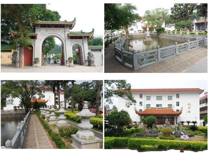 「崇福」福州象峰崇福寺第四届“菩提苗体验营”活动通告