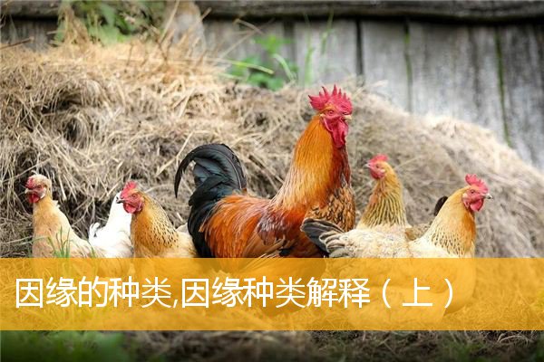 「文化」因缘的种类,因缘种类解释（上）