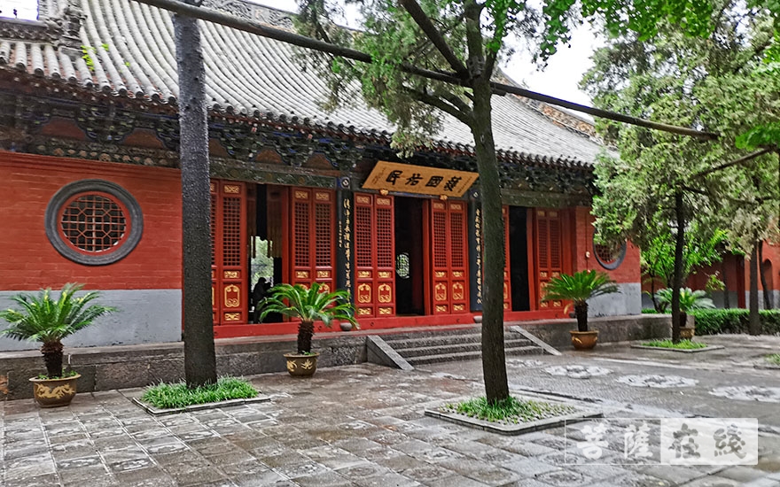 「防洪」人员安全！已无积水！直击河南重点寺院防汛恢复现场