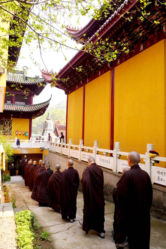 「佛教」慧日禅寺举行清明节观音圣诞法会甘露净坛、超荐宗祖清明蒙山法会 「佛教」慧日禅寺举行清明节观音圣诞法会甘露净坛、超荐宗祖清明蒙山法会