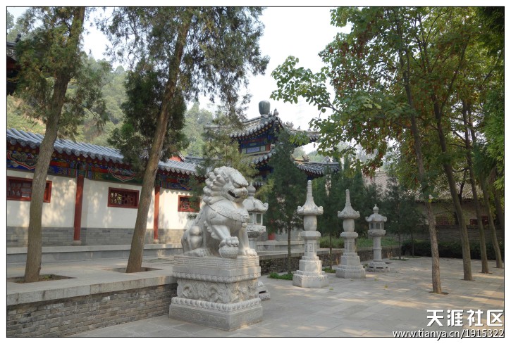 「兴教寺」長亭短亭：去年的兴教寺
