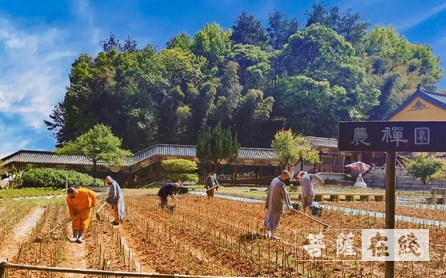「佛教」传承农禅家风 湖北各寺不负农时春耕忙 「佛教」传承农禅家风 湖北各寺不负农时春耕忙
