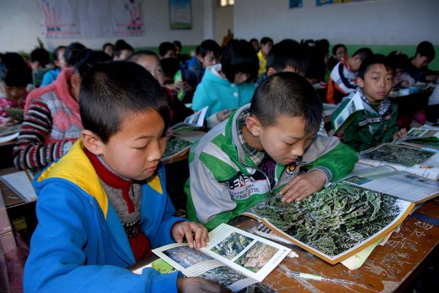 「世界地球日」佛教圣地五台山举行世界地球日活动