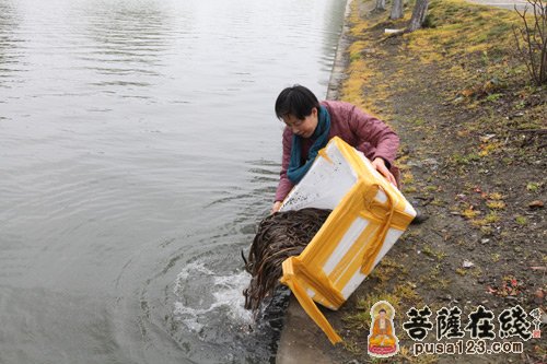 「佛教」江苏昆山华藏寺都监法智老和尚90岁寿辰