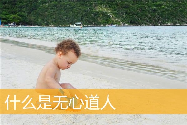 「文化」什么是无心道人