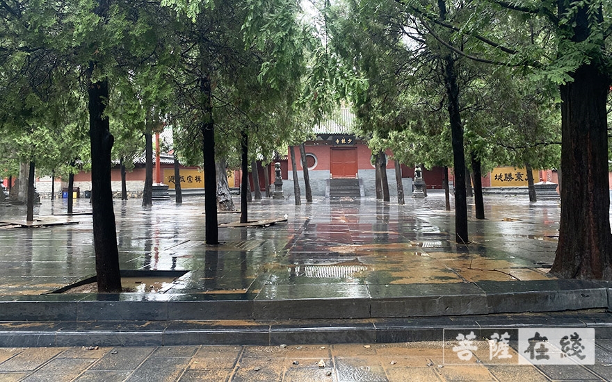 「防洪」人员安全！已无积水！直击河南重点寺院防汛恢复现场