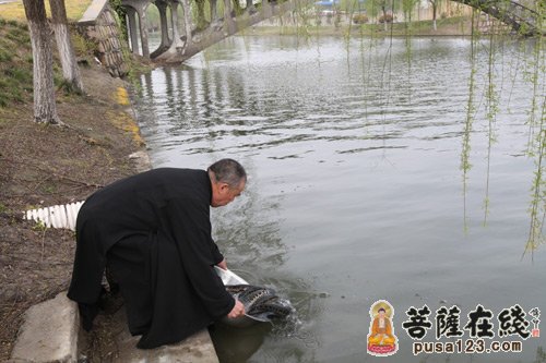 「佛教」江苏昆山华藏寺都监法智老和尚90岁寿辰