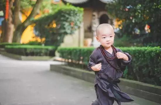 「灵隐寺」灵隐寺两岁“小和尚”萌爆网络