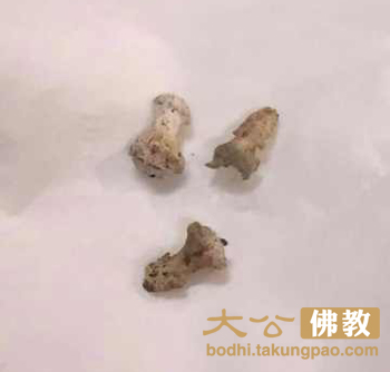 「佛教」觉真长老法体荼毗圆满并现稀有心脑舍利 「佛教」觉真长老法体荼毗圆满并现稀有心脑舍利
