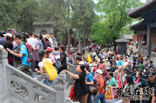 「释迦牟尼」佛祖诞辰2557周年 嵩山少林寺隆重举行浴佛大法会