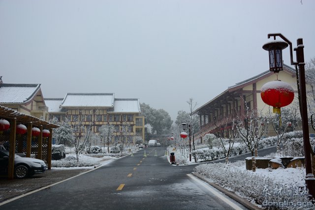 「佛教」佛教摄印－－大佛印雪