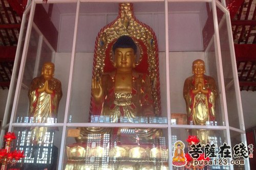 「佛教」(1.27)江苏省江阴市东平寺举行释迦牟尼佛开光法会 「佛教」(1.27)江苏省江阴市东平寺举行释迦牟尼佛开光法会