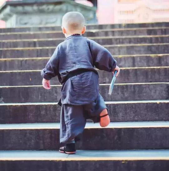 「灵隐寺」灵隐寺两岁“小和尚”萌爆网络