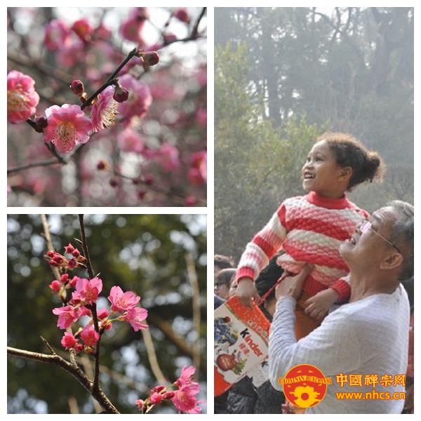 「佛教」大年初一 禅宗祖庭广东韶关南华禅寺迎来游客高峰