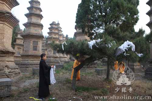 「佛教」河南少林寺方丈永信大和尚率两序大众塔林祭祖