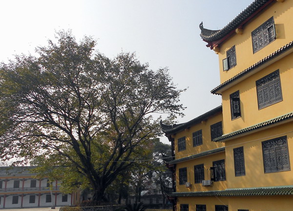 「南华寺」水月清梅：曹溪南华寺撷影