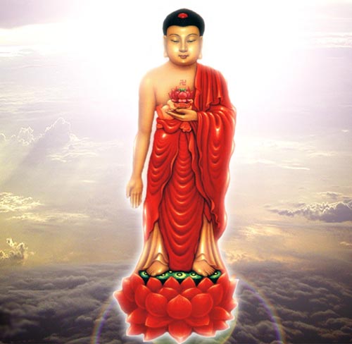 「佛教」只以一夜的时间观想忆念，便蒙阿弥陀佛接引
