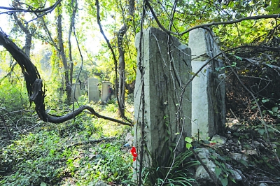 「栖霞山」栖霞山意外发现5块古碑 再现明高僧传奇风采