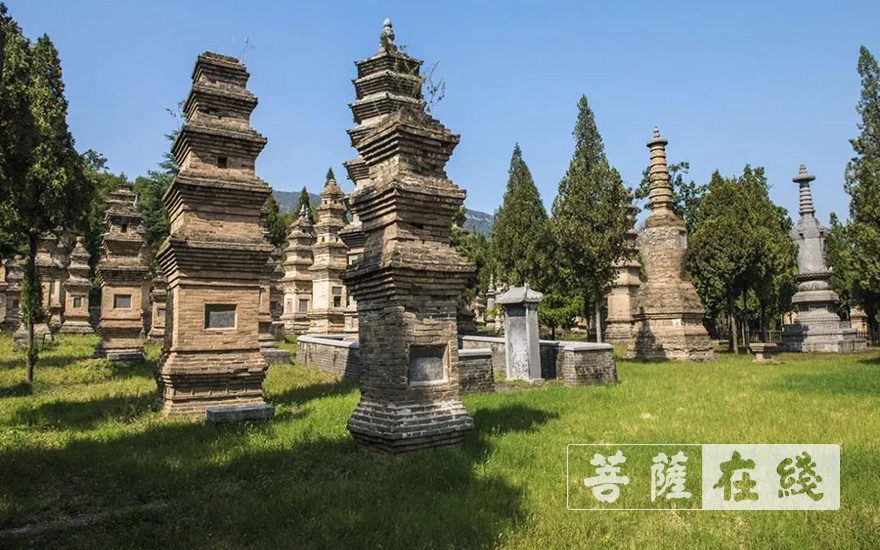 「佛教」缅怀历代祖师,嵩山少林寺举行清明扫塔祭祖上供法会 「佛教」缅怀历代祖师,嵩山少林寺举行清明扫塔祭祖上供法会