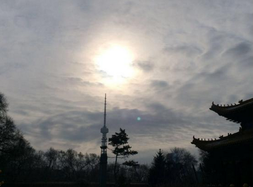 「佛教」黑龙江大庆果城寺追思上果下成老法师系列报道