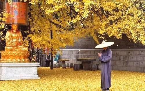 「佛教」佛教启示：是被子暖人，还是人暖被子？