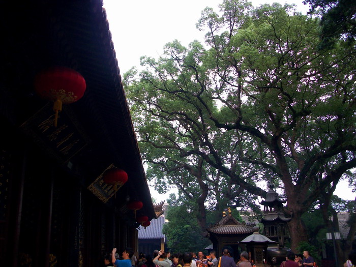 「普济寺」不开山门却香火旺盛的普陀山普济寺 「普济寺」不开山门却香火旺盛的普陀山普济寺