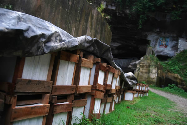「白玉」浙江省天台山慈恩寺 将雕刻白玉版《大藏经》