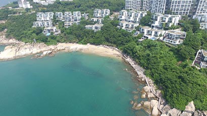 「素食」深圳最大海鲜酒楼改卖素餐 百种美食28元卖疯了
